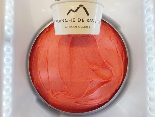 Sorbet Orange Sanguine - Recharge